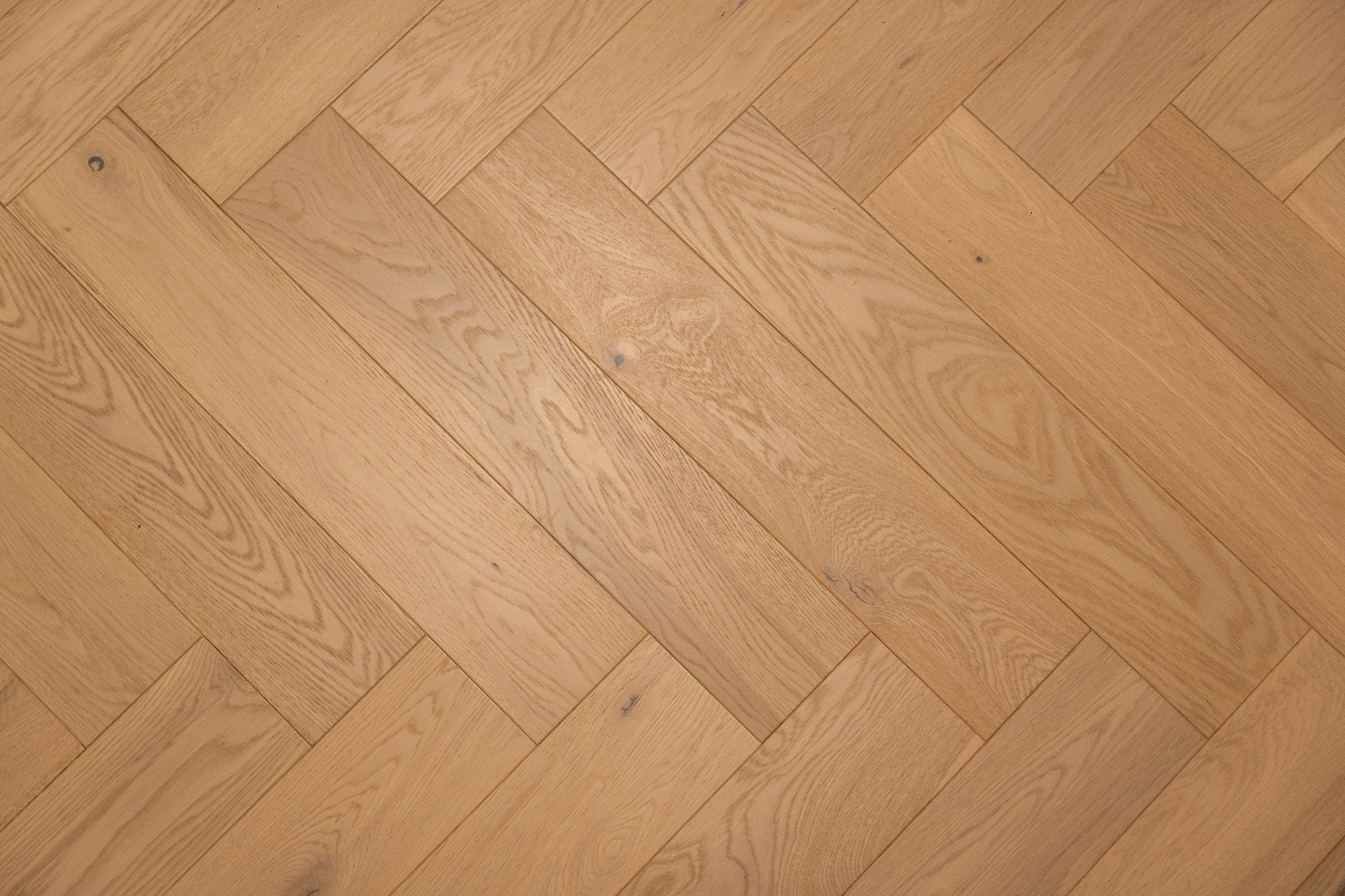 Foto 27 van Boschcour 2-A