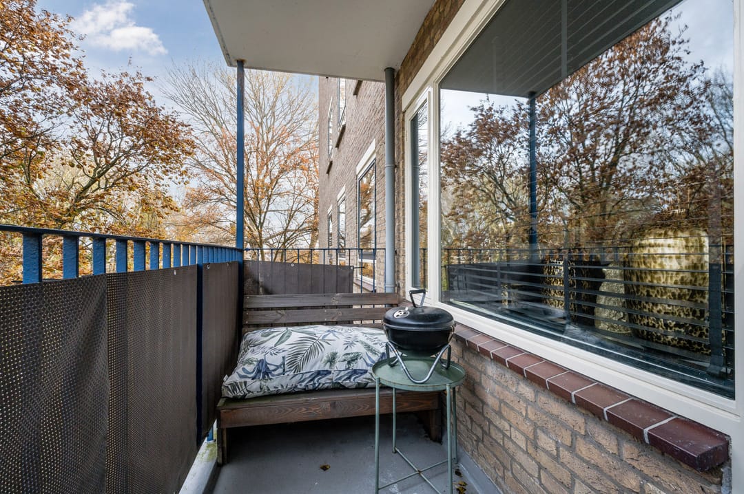 Foto 2 van Aert van Neslaan 327