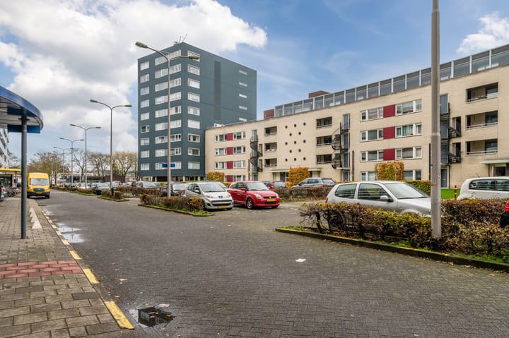 Foto 3 van Boksdoornerf 134