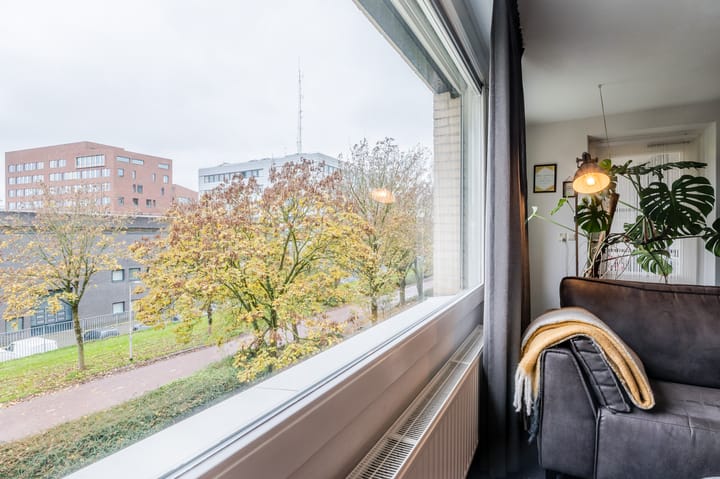 Foto 9 van Boksdoornerf 134