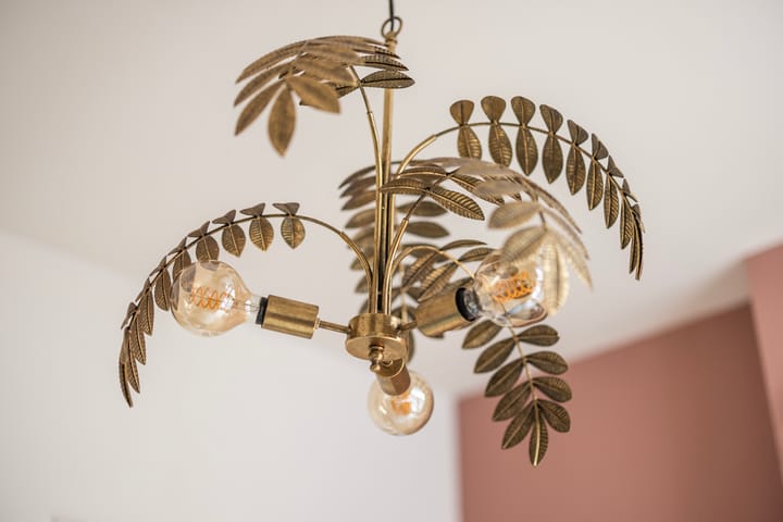 Foto 13 van Jan Schoutenstraat 5