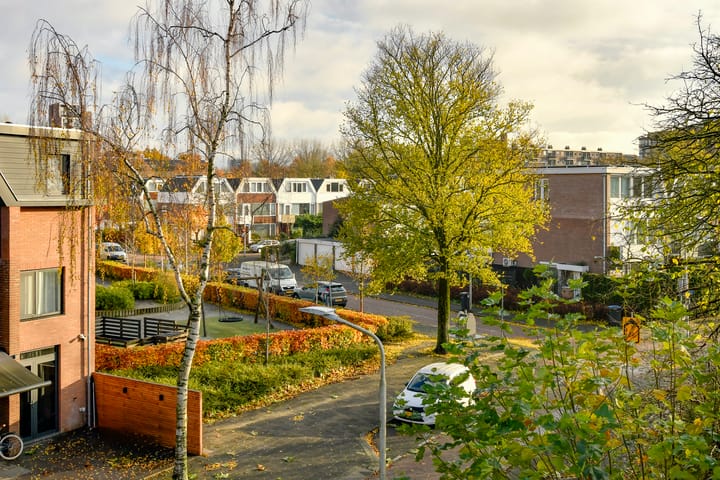 Foto 18 van Prof. Lorentzlaan 25