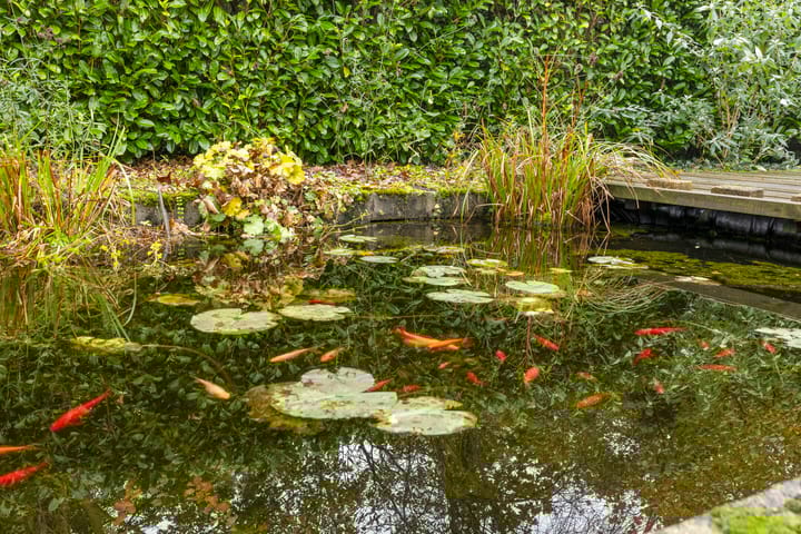 Foto 34 van De Wheeme 6