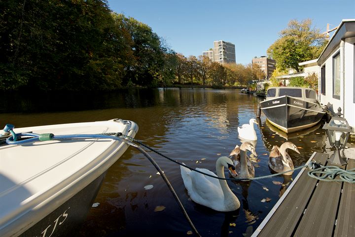 Bekijk foto 18 van Zijlsingel 71-B