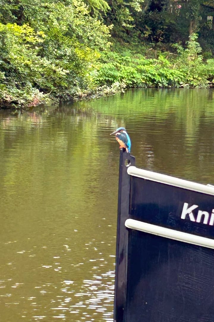 Foto 21 van Zijlsingel 71-B