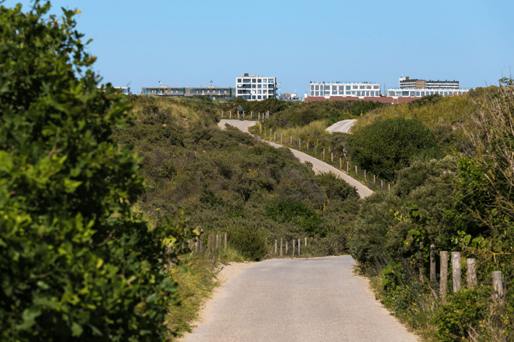 Foto 71 van Van Boetzelaerlaan 10