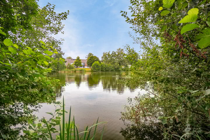 Foto 30 van Spinderweg 89