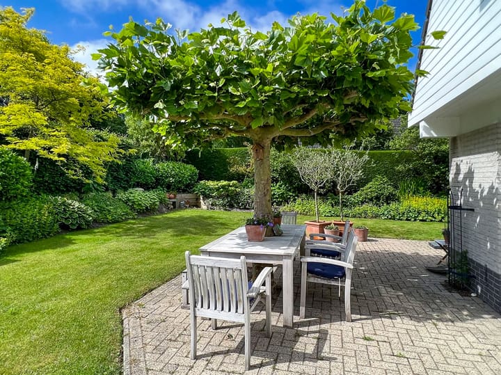 Foto 27 van Seringenlaan 1