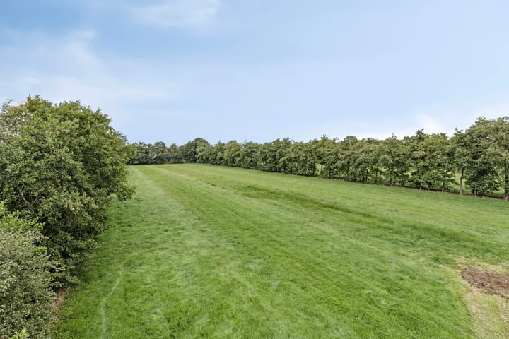 Foto 6 van Wierren 8