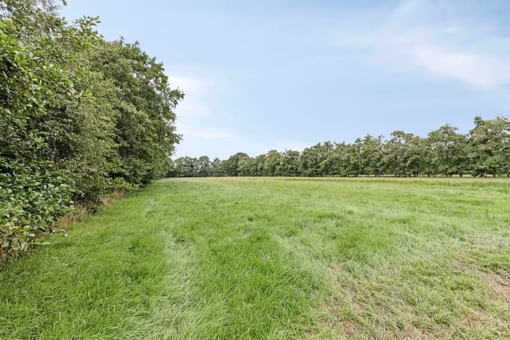 Foto 26 van Wierren 8