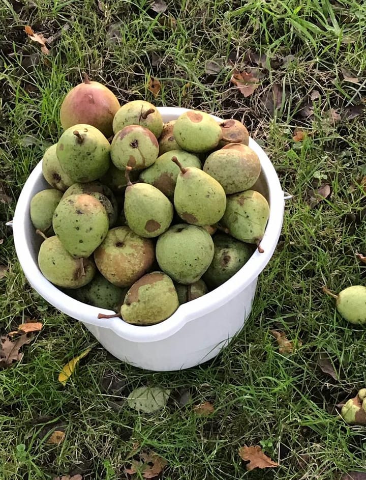 Foto 29 van Wierren 8