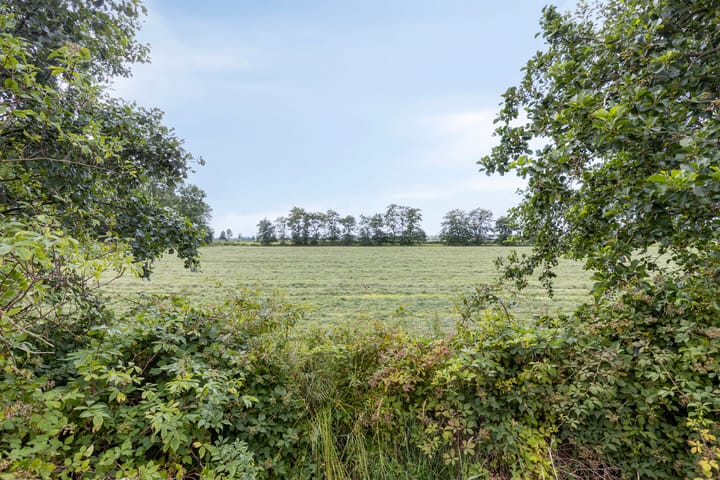 Foto 31 van Wierren 8