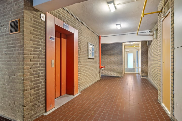 Bekijk foto 10 van Tolhuis 1237