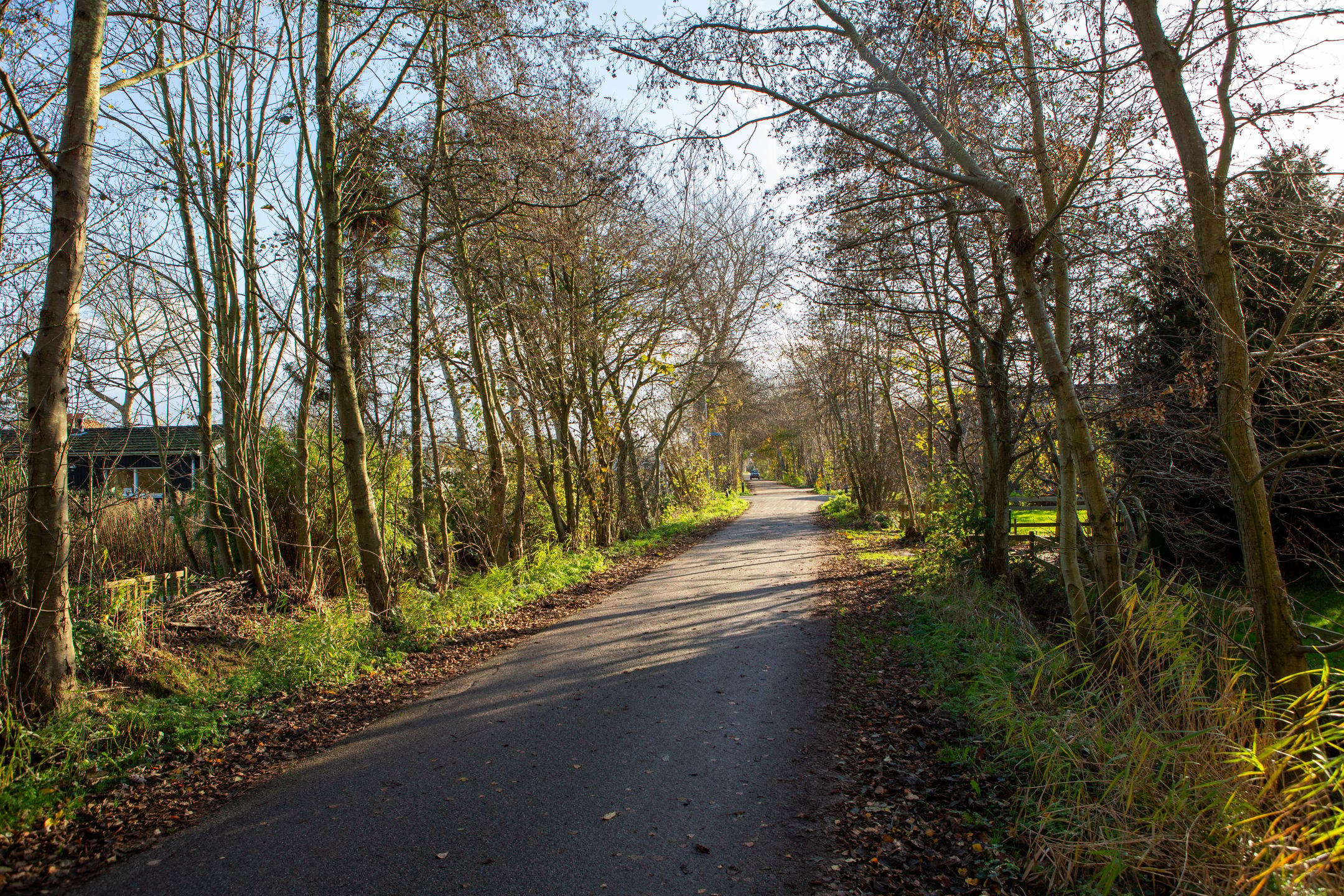 Photo 30 of Dirkmansweg 3