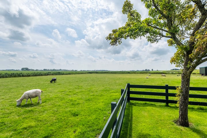 Foto 59 van Zeedijk 15