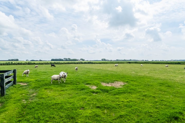 Bekijk foto 73 van Zeedijk 15