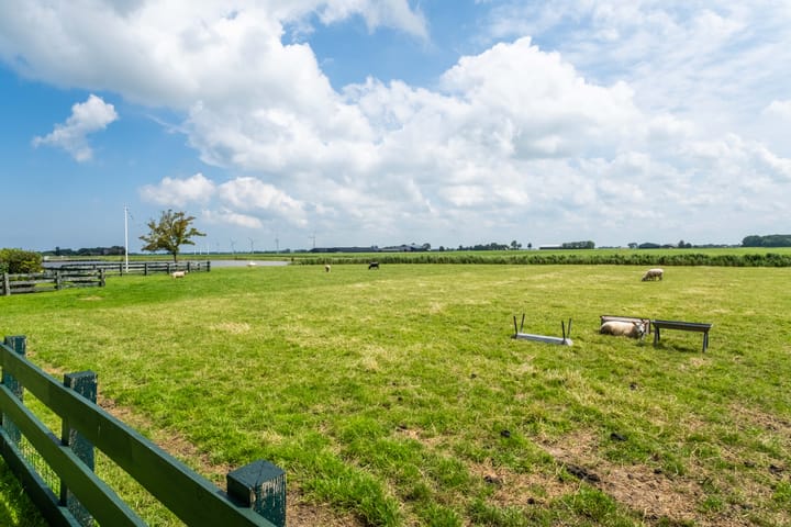 Foto 75 van Zeedijk 15