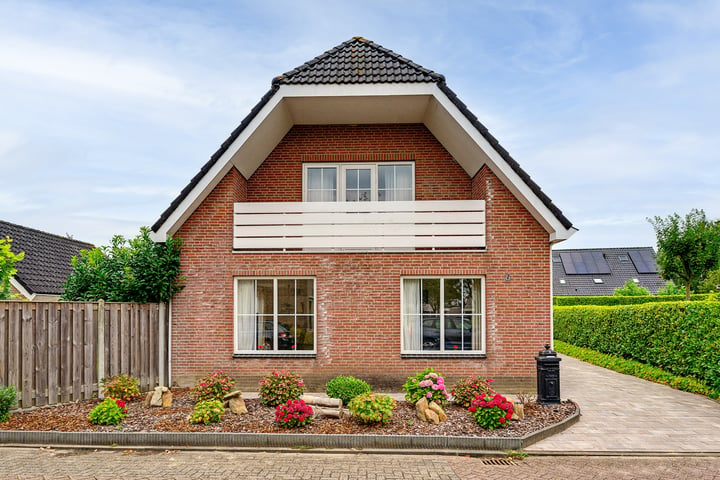 Bekijk foto 10 van Gerbera 3