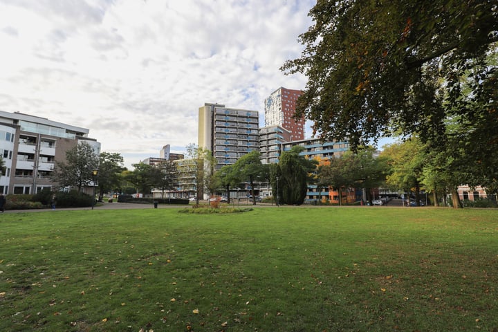 Bekijk foto 43 van Kronenburgersingel 203