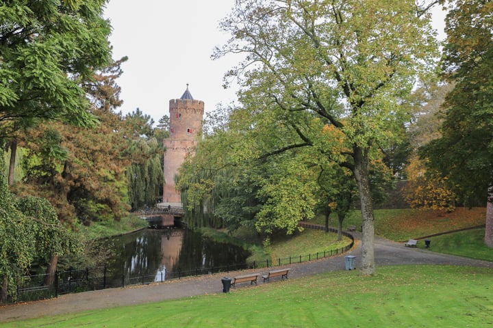 Bekijk foto 45 van Kronenburgersingel 203