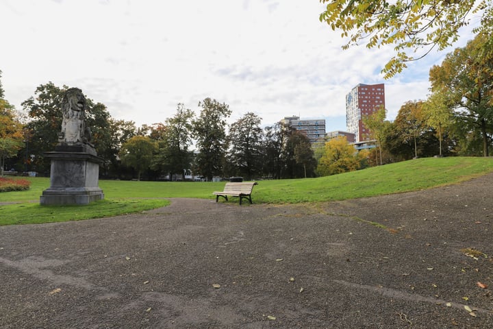 Bekijk foto 46 van Kronenburgersingel 203