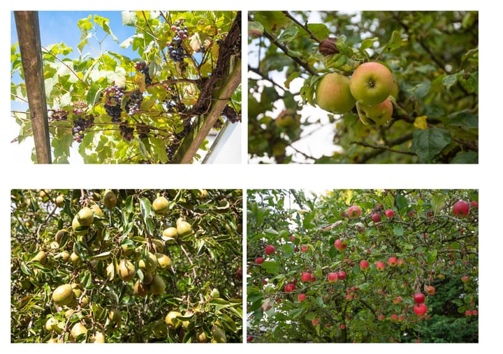 Foto 57 van Herenweg 143