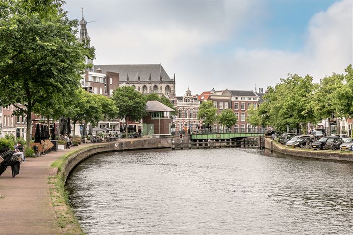 Bekijk foto 30 van Spaarne 215