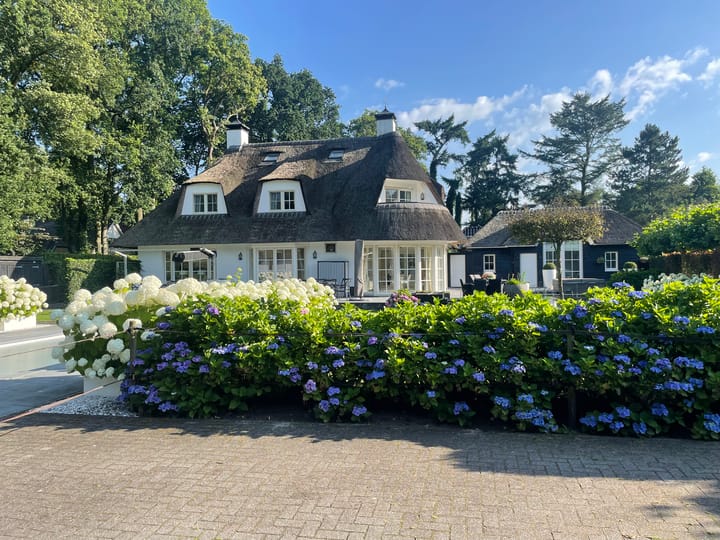 Foto 57 van Bartolottilaan 9