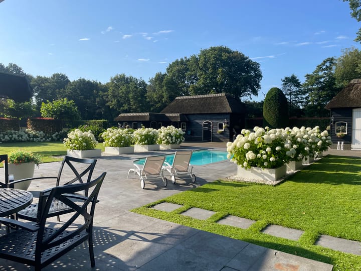 Foto 58 van Bartolottilaan 9