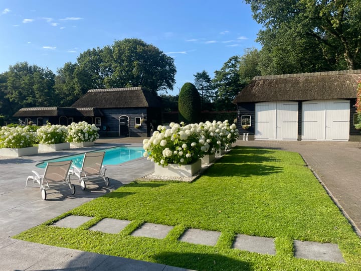 Foto 62 van Bartolottilaan 9