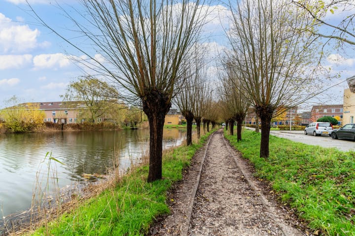 Foto 60 van Schellingstraat 35