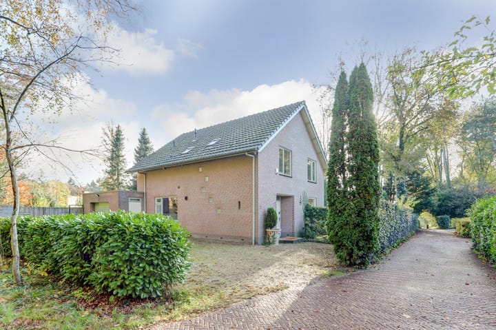 Foto 2 van Bosbadlaantje 2