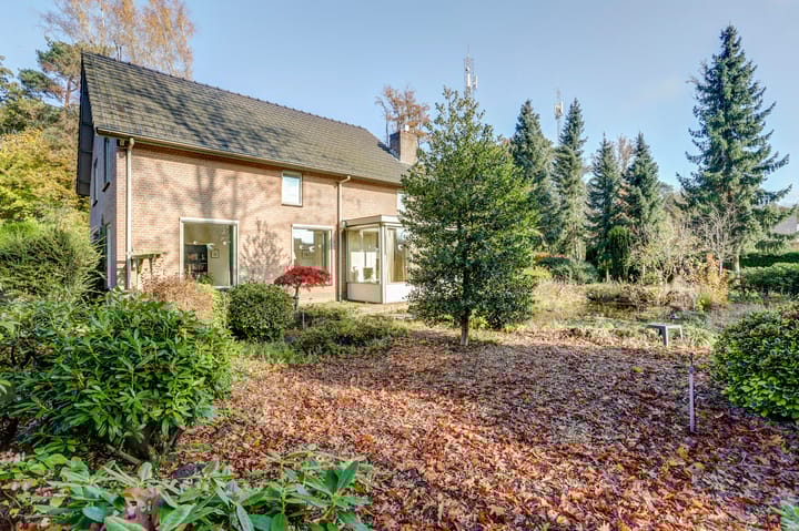 Foto 52 van Bosbadlaantje 2