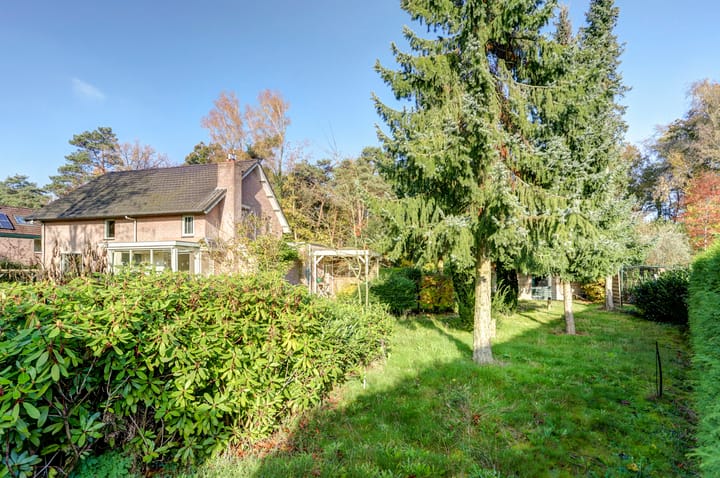 Foto 55 van Bosbadlaantje 2