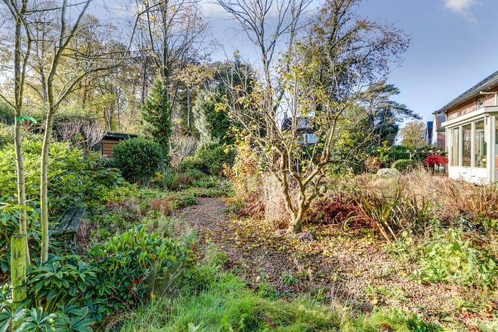 Foto 58 van Bosbadlaantje 2