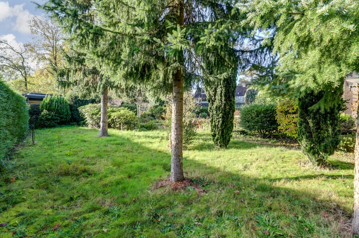 Foto 59 van Bosbadlaantje 2