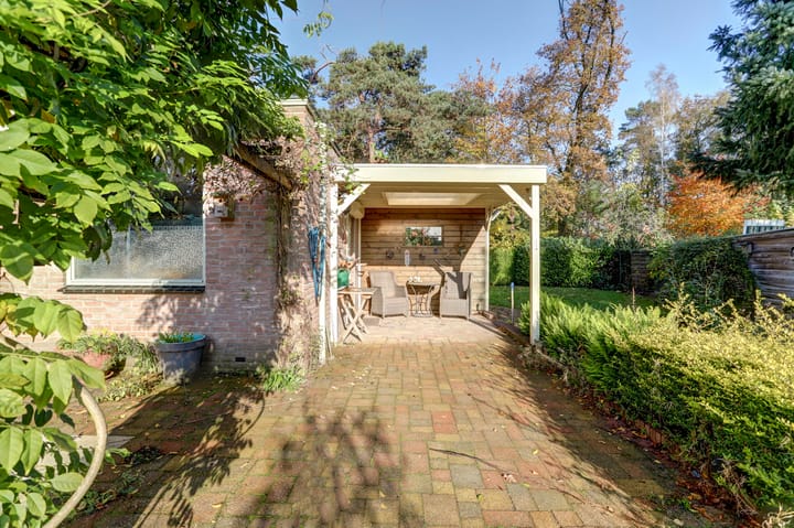 Foto 62 van Bosbadlaantje 2