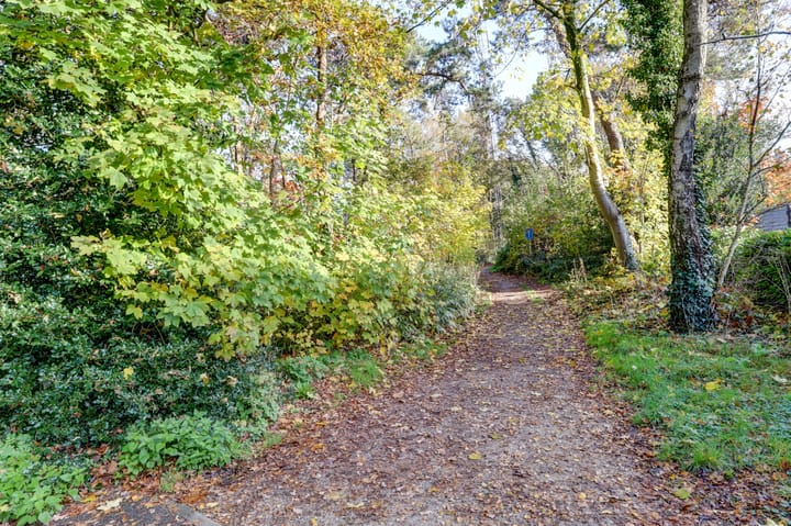 Foto 66 van Bosbadlaantje 2