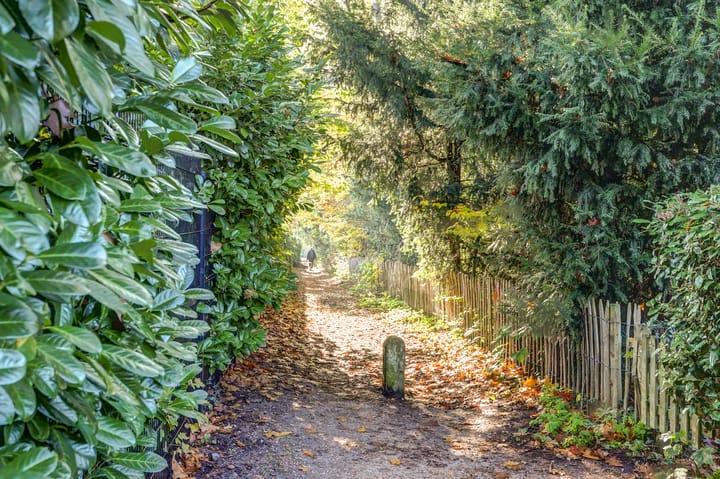 Foto 67 van Bosbadlaantje 2