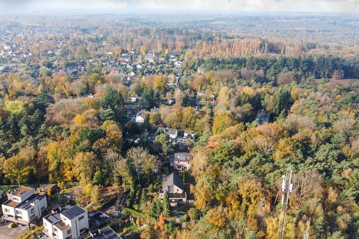 Foto 69 van Bosbadlaantje 2