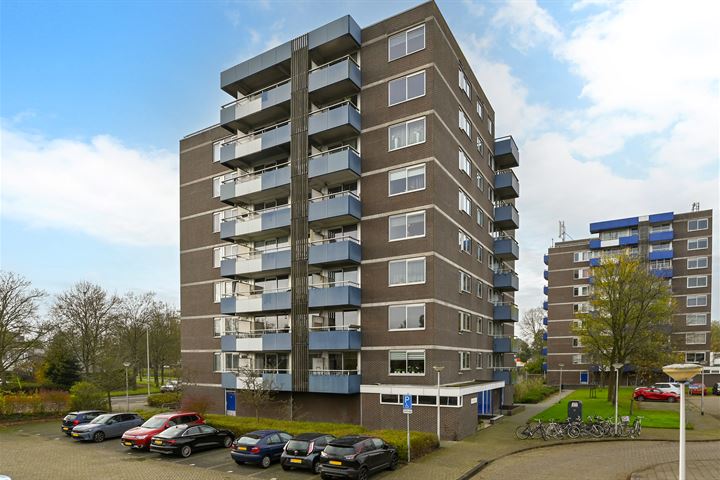 Bekijk foto 1 van Boterbloem 12