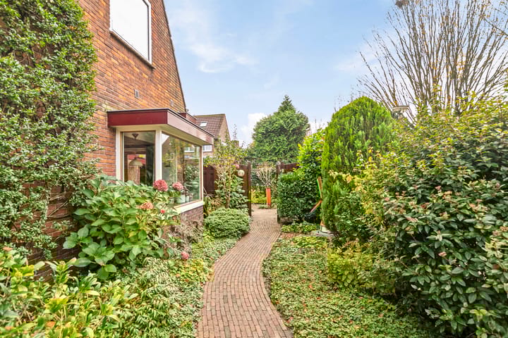 Foto 10 van Dollardstraat 84