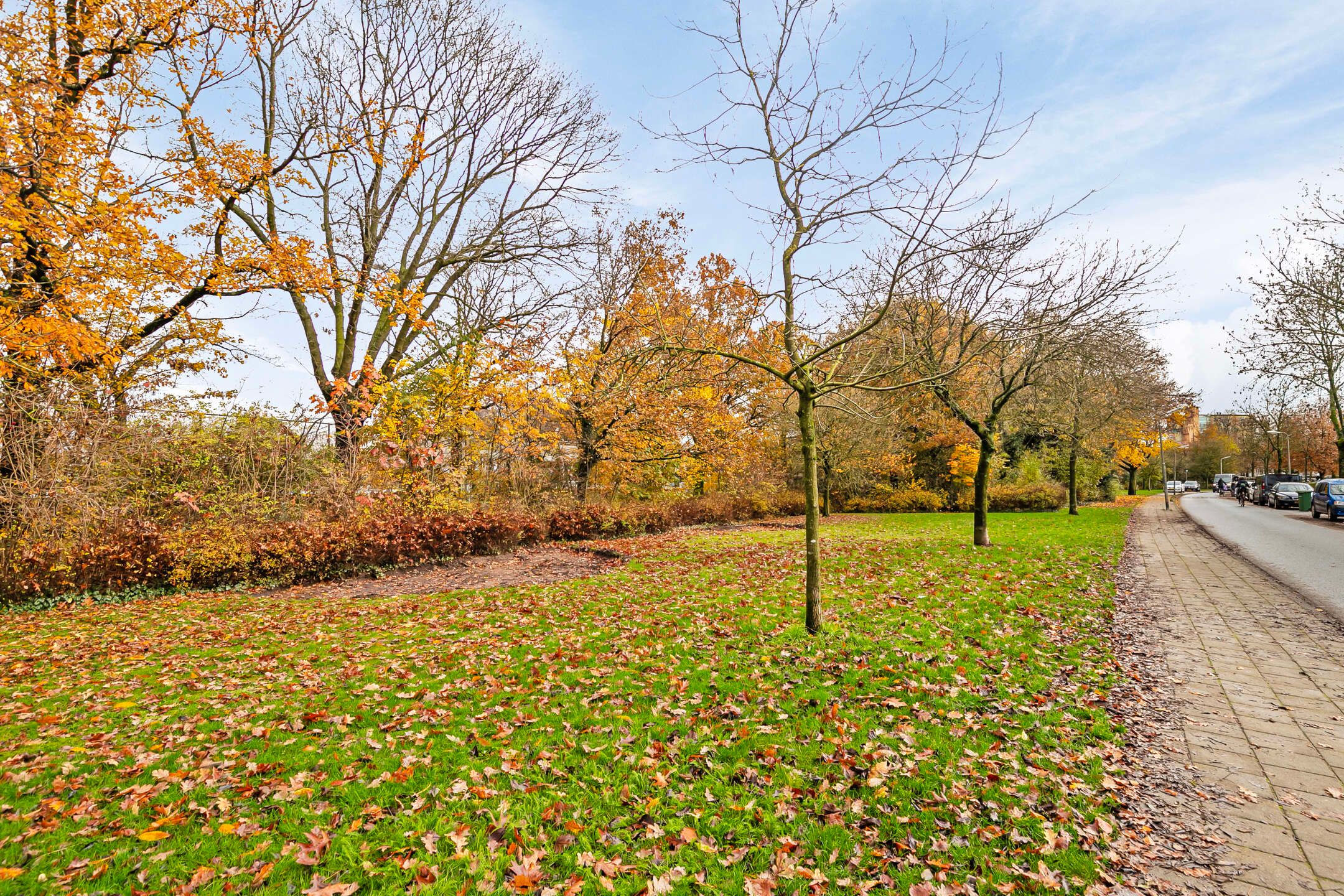 Photo 39 of Dollardstraat 84