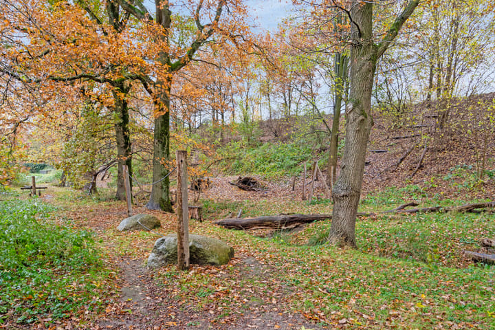 Foto 37 van Vuurpot 11