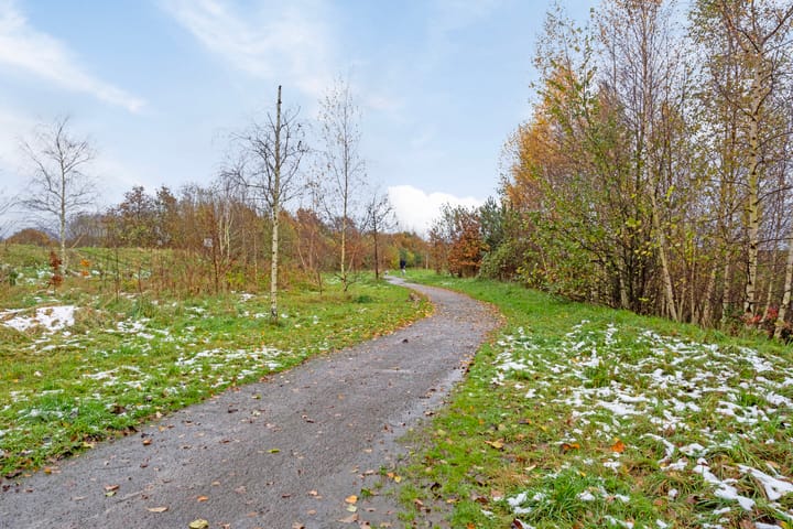 Foto 38 van Vuurpot 11