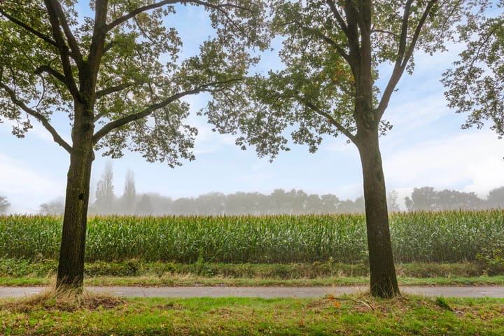 Photo 49 of Somerenseweg 47