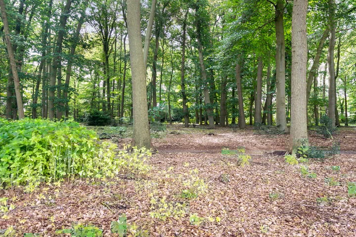 Foto 32 van Veluweweg 56