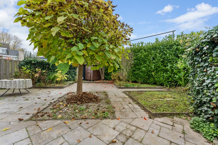 Foto 46 van Tamarindehof 4