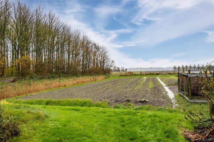 Foto 47 van de Keeg 12