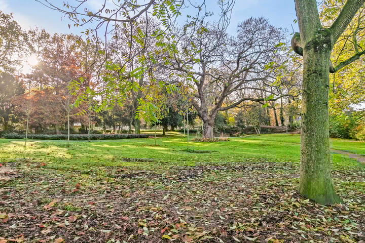 Photo 26 of Burgerhoutsestraat 12